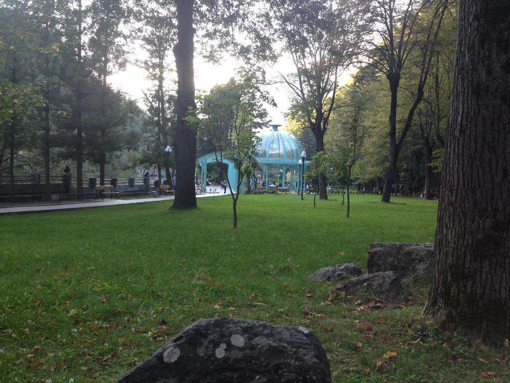 Borjomi Apartment Lia Exterior photo